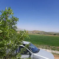 باغ میوه ۱۰۰۰ متر|فروش زمین و ملک کلنگی|بوئین و میاندشت, |دیوار
