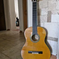 گتیار AK20 آریا اصل
