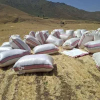 کاه نرمه و پرس شالی