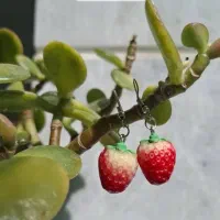 اکسسوری|زیورآلات و اکسسوری|تهران, شهران شمالی|دیوار