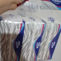 فروش دستمال کاغذی|مواد شوینده و دستمال کاغذی|رشت, معلم|دیوار