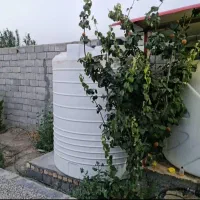 فروش باغ 500متری علیشاهدان|فروش خانه و ویلا|پیر بکران, |دیوار