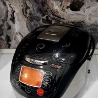 پلوپز دیجیتال12نفره