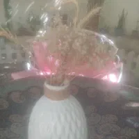 ذرت علوفه ای ۱هکتار