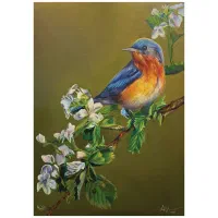 نقاشی و رنگ آمیزی ساختمان. آریا.