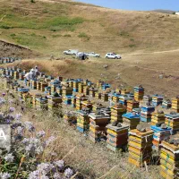 عسل سبلان|خوردنی و آشامیدنی|تهران, امیریه|دیوار