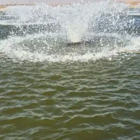 نیرو جهت نگهبانی استخر پرورش ماهی