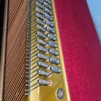 پیانو|پیانو، کیبورد، آکاردئون|تهران, سازمان برنامه شمالی|دیوار