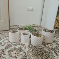 گلدان سرامیکی