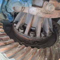 کله گاوی ایسوزو و سوپر