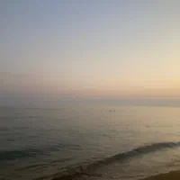 سیمکارت کد ۸ رند
