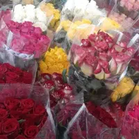 پخش گل سید|گل و گیاه طبیعی|شهر ری, بازار گل خاوران|دیوار