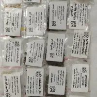 بذر گل|گل و گیاه طبیعی|سمنان, |دیوار