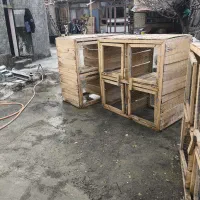 جفت کن کبوتر|لوازم جانبی حیوانات|نقده, |دیوار