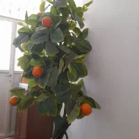 درخت پرتقال مصنوعی