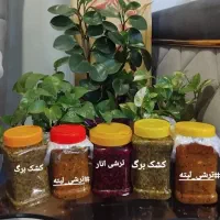 کشک برگ گلبافی