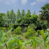 5-هزار-متر-باغ-دارای-مجوز-ساخت-شهریار