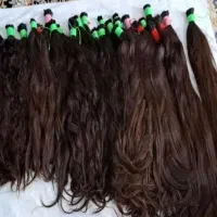 موها گل شما۵۰سانت به بالا