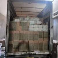 نمایندگی ظروف املون استان گلستان|ظروف نگهدارنده، پلاستیکی، یکبارمصرف|گرگان, |دیوار