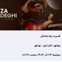 کنسرت رضا صادقی