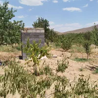 فروش زمین ۷۵۰ متری در محدوده پل زمانخان|فروش زمین و ملک کلنگی|اصفهان, آزادگان|دیوار