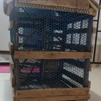 قفس پرنده|لوازم جانبی حیوانات|هشتگرد, شهرک ریحانه|دیوار