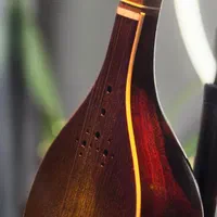 سه تار کنسرتی مهر تک نواز درجه یک|سازهای سنتی|پردیس, فاز ۲|دیوار