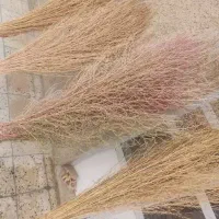 جارو محلی