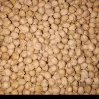 نخود برا فلافل