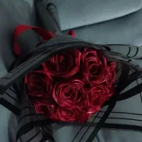 گل ربانی و شاین دار