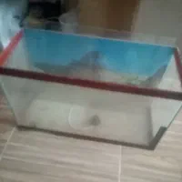 اکواریم با تمامی وسایل