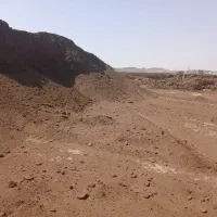 کودگاوشیری پوسیده