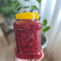 خانگی ارگانیک|خوردنی و آشامیدنی|رشت, دیلمان|دیوار