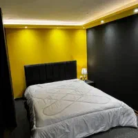 اجاره روزانه مرکز شهر . بسیار تمیز و شیک. تک خواب