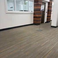 خانم جهت امور نظافتی