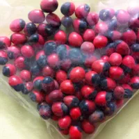 بخورات اصل هند و پاکستان حاوی صندل مشک و.و.و|صنایع دستی و سایر لوازم تزئینی|مشهد, سرافرازان|دیوار