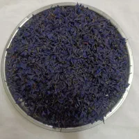گل گاوزبان