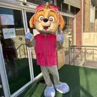 اجاره عروسک تنپوش|خدمات پذیرایی، مراسم|ارومیه, |دیوار