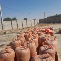 یونجه خرمنکوب|خدمات باغبانی و درختکاری|بهبهان, |دیوار