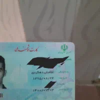 پیداشده