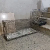 دوعدد قفس