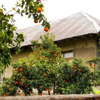 250متر-ابوذر8-فرزانگان-تیزهوشان