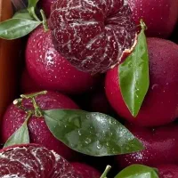 نیروی ابمیوه