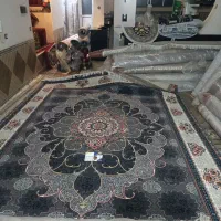 فرش پتینه جدید|فرش|شیراز, میانرود|دیوار
