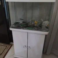 آکواریم لبه خم