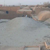 ۵۰ تا کفتر فروشی|پرنده|روداب, |دیوار