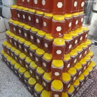 عسل طبیعی کوهستان چند گیاه وگون.