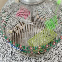 قفس|لوازم جانبی حیوانات|برازجان, |دیوار