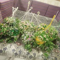 گل مصنوعی|گل مصنوعی|همدان, |دیوار