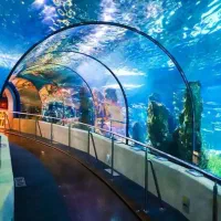 تور دبی ویژه زمستان